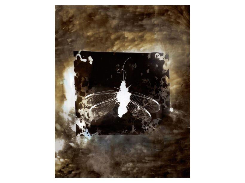 Gábor Enikő: Light Life 3 (2014) 