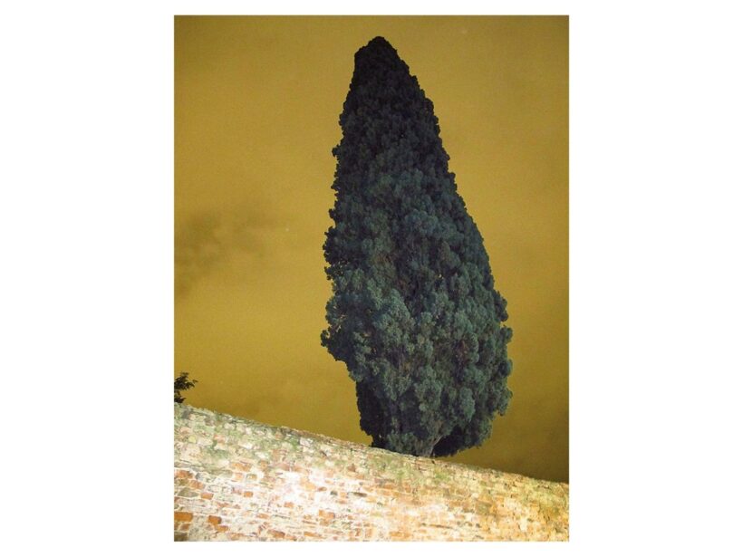 Gáldi-Vinkó Andrea: Firenze (2012) 
