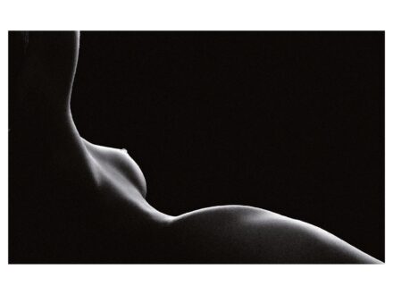 Módos Gábor: Venus (2009) 