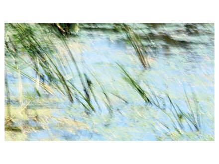 Szél Ágnes: „…Tisza…” (2009/2012) 