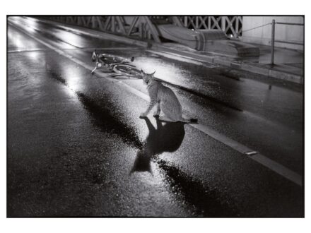 Szilágyi Lenke: Hiúz (1997) 