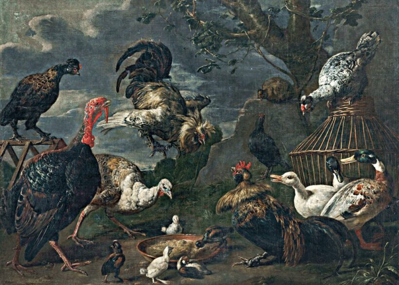 Utrecht, Adriaen van (1599-1652)-nak tulajdonított: Baromfiudvar   VÉDETT - NO EXPORT