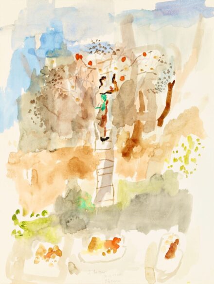 Reiner Imre Almaszüret Provence-ban