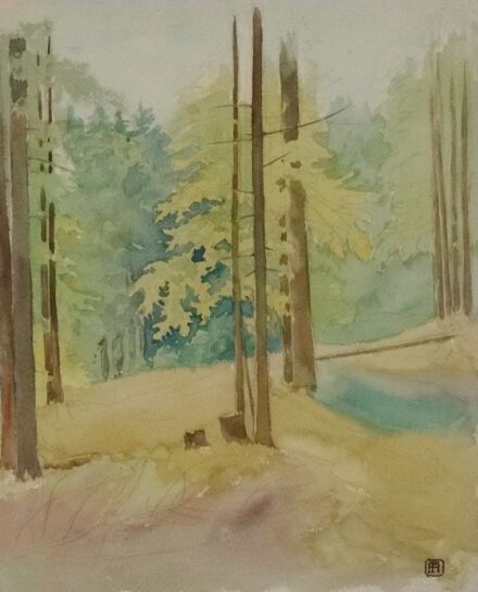 Helbing Ferenc (1870 - 1958): Erdõrészlet