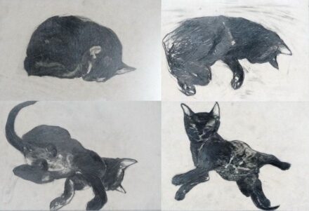 Karácsonyi László (1976): Négy macska - 4 mű