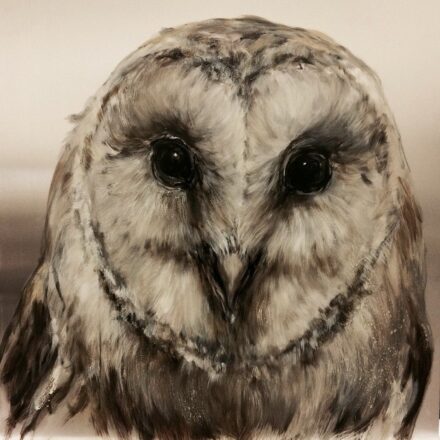 Verebics Ágnes (1982): TytoAlba, 2018