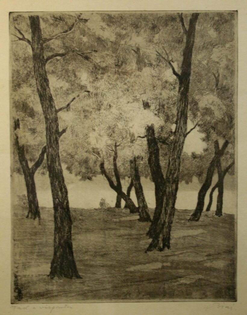 Biai Főglein István (1905-1974): Fák a vízparton
