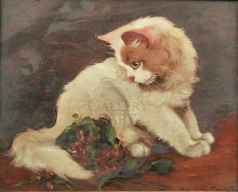 Rainerné, Istvánffy Gabriella (1875-1964): Fehér cica