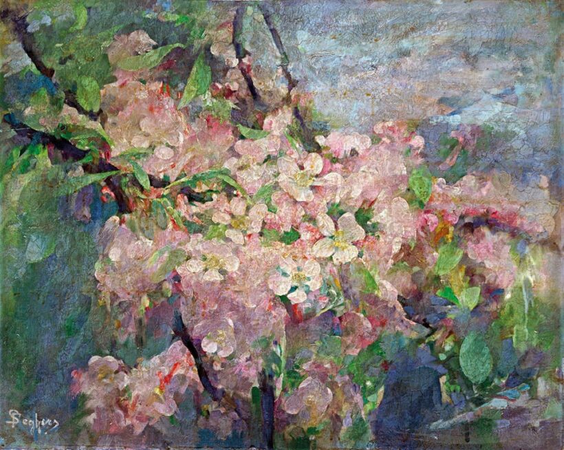 Seghers, Franz (1849-1939): Virágzó cseresznyefa ág