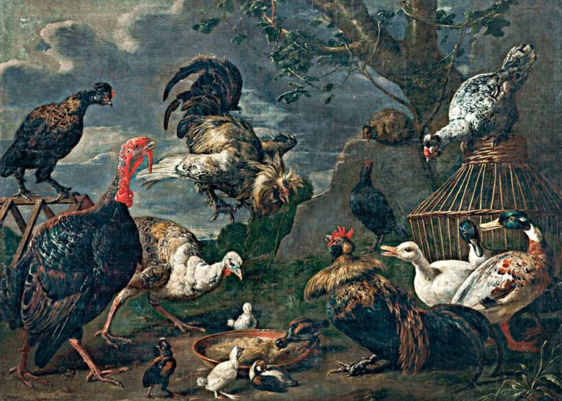 Utrecht, Adriaen van (1599-1652)-nak tulajdonított: Baromfiudvar,165(2?)