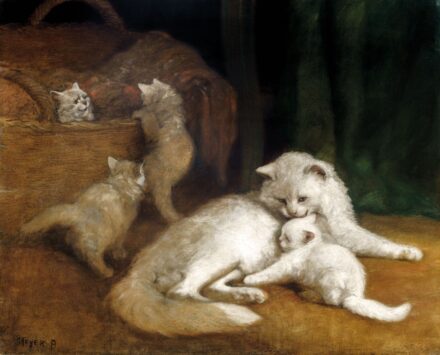 Heyer Artúr (1872-1931): Cica család