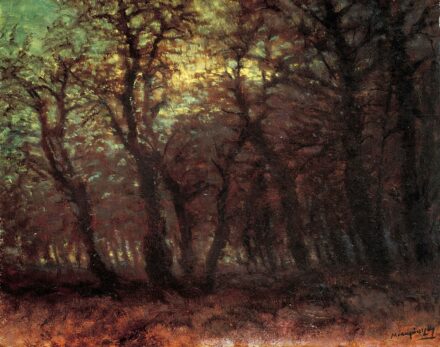 Mednyánszky László (1852-1919):Alkonyi erdő