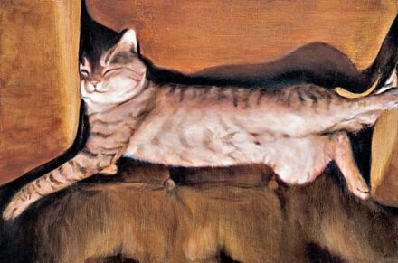 Karácsonyi László (1976-): "Pofa a rongytigris"