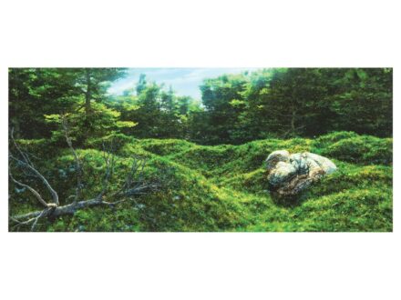 Bóna Ottó
Pureland 002 (Tisztaföld 006)