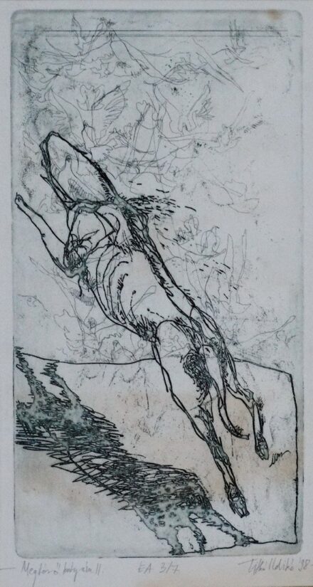 Titkó Ildikó (1978): Megtérő kutyám II., 1998