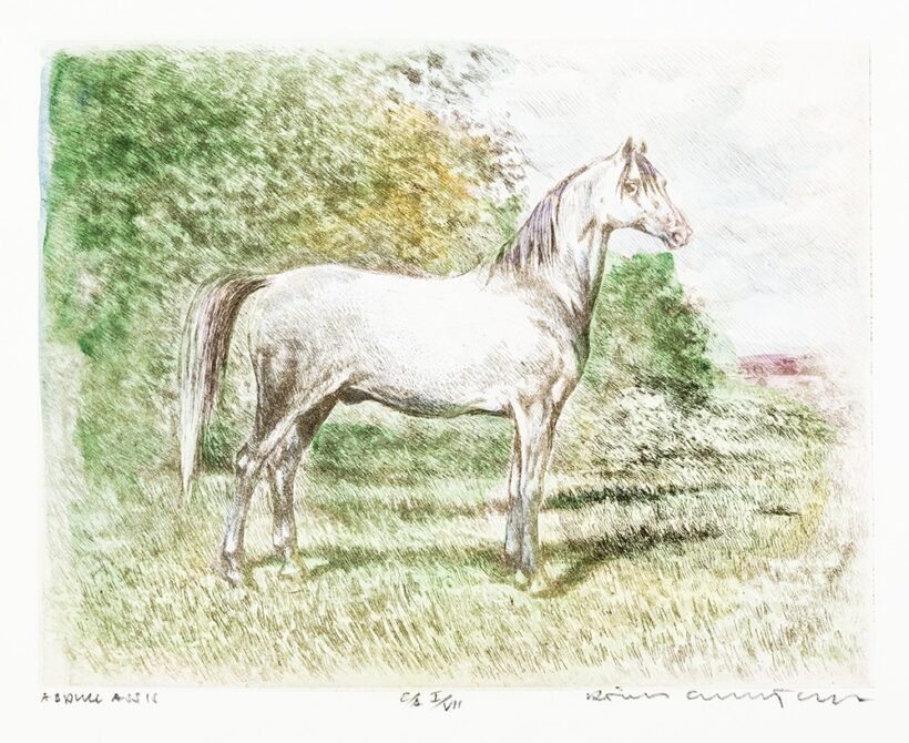Rádóczy Gyarmathy Gábor (Budapest, 1943 - ) Abdul Assis, EA I/VII. Rézkarc, akvarell, papír 265 X 325 mm Jelezve jobbra lent: Rádóczy Gyarmathy