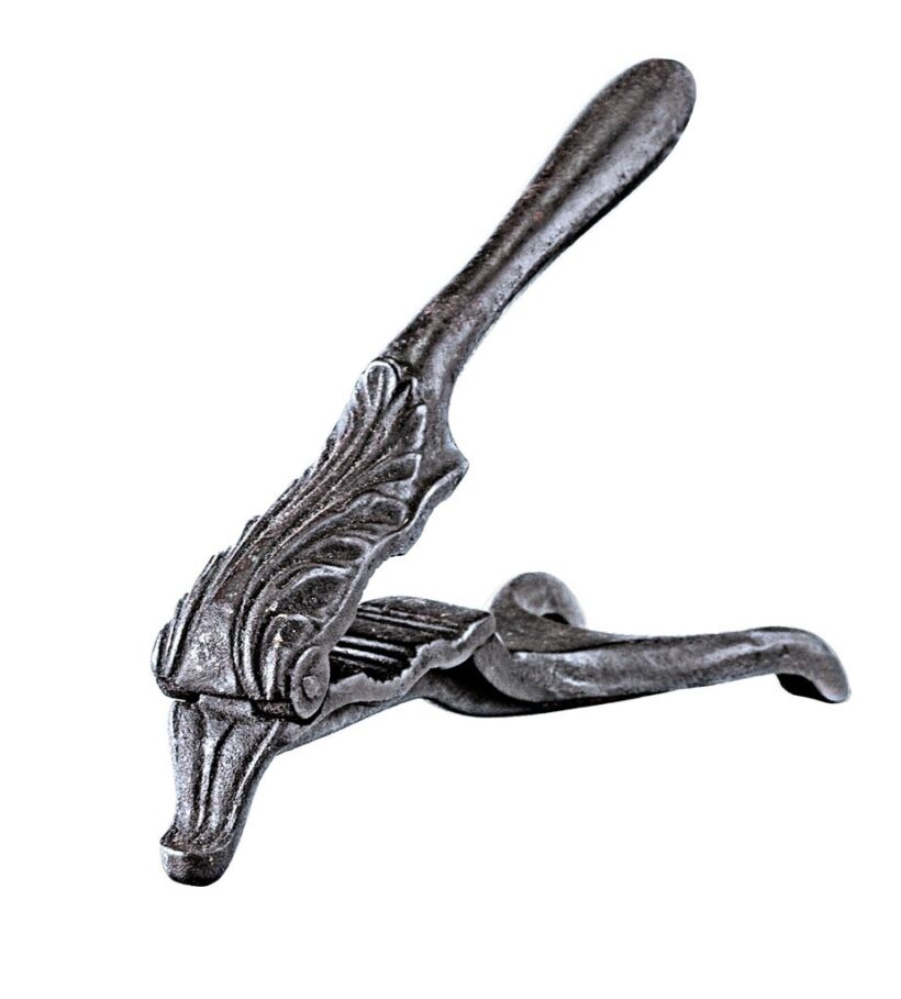 Diótörő