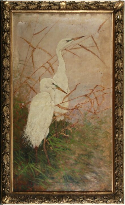 Madarász Gyula (1858 - 1931): Két kócsag