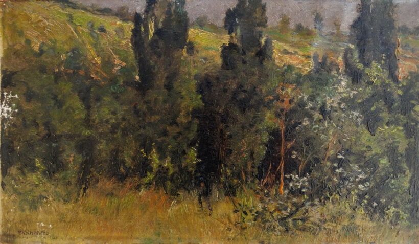 Basch Árpád (1873 - 1944): Zsennyei fák