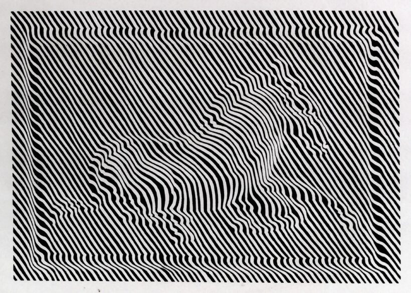 Vasarely, Viktor (1908 - 1997): Zebra