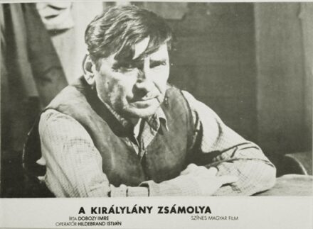 A KIRÁLYLÁNY ZSÁMOLYA Színes magyar film