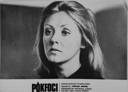 PÓKFOCI Színes magyar filmvígjáték