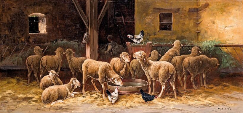 Niel, Rob. jelzéssel, 1900 körül: Birkaakol