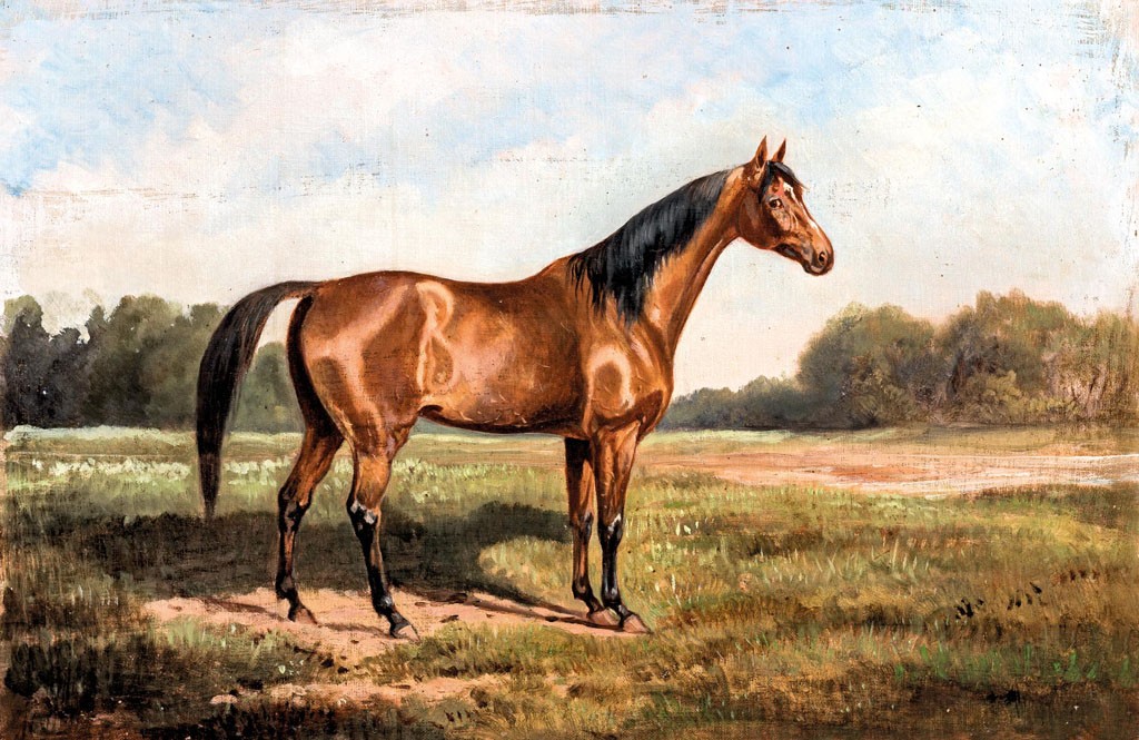 Osztrák festő, 1900 körül: Paripa