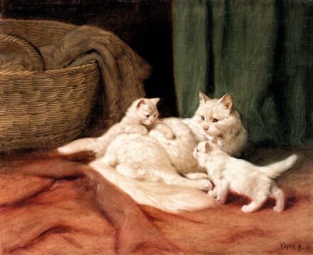 Heyer Artúr (1872-1931): Fehér cicacsalád