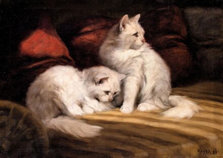 Heyer Artúr (1872-1931): Fehér cicák