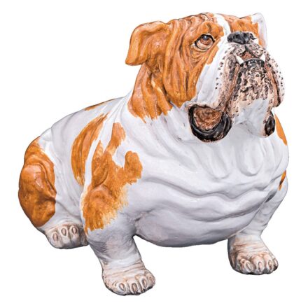 Bulldog