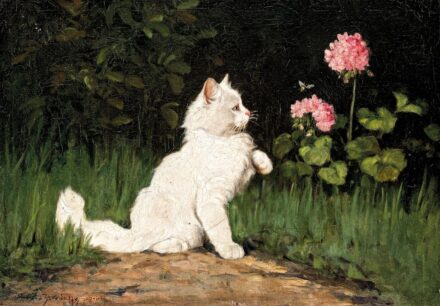 Istvánffy Gabriella, Rainerné (1875-1964): Fehér cica pillangóval
