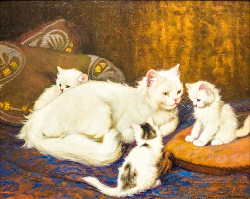 Rainerné Istvánffy Gabriella (1875-1964): Macska család