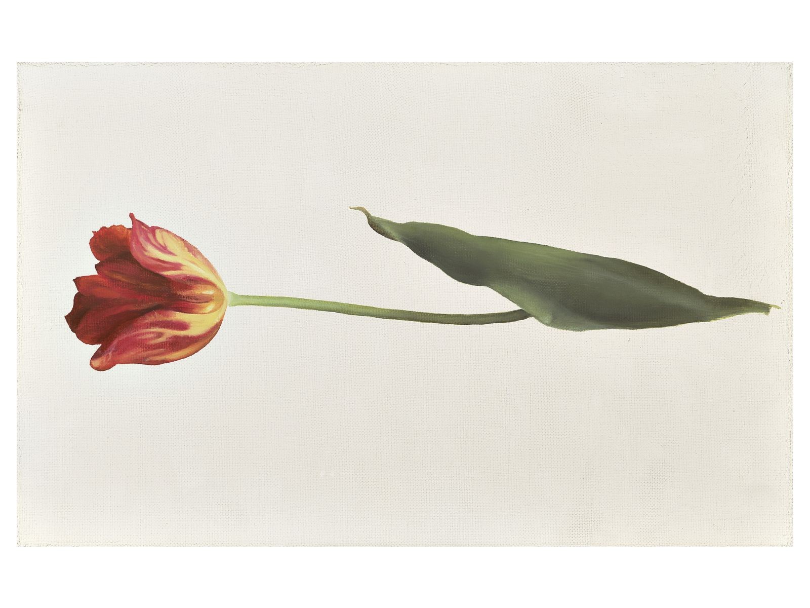 122. Hajdú Kinga: Tulipán 1., 2003