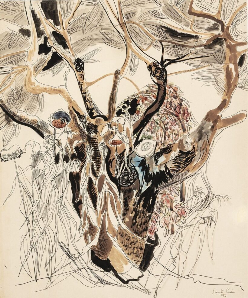 Szántó Piroska (Kiskunfélegyháza, 1913 – Budapest, 1998): Öreg fa, 1955