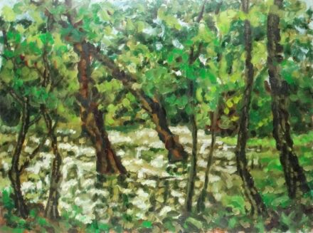 Weisz Zsuzsanna (1925 - 2017): Víz-növény kompozíció, 1981-82