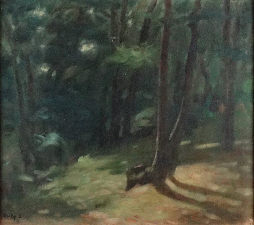 Csiky S. jelzéssel: Erdő