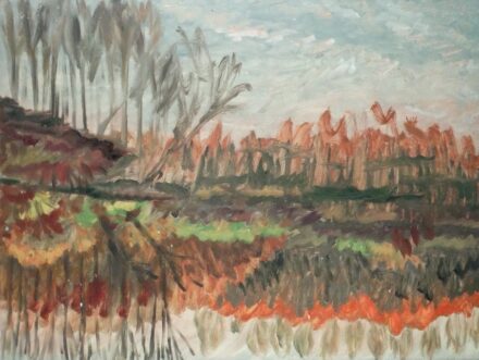 Weisz Zsuzsanna (1925 - 2017): Tükröződő Sorok, 1973