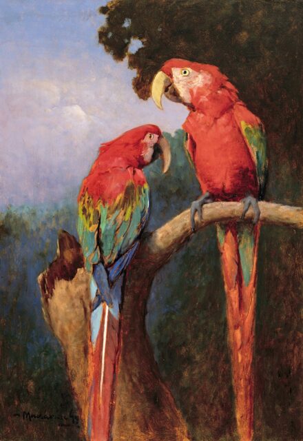 Madarász Gyula  (1858-1931): Papagájok