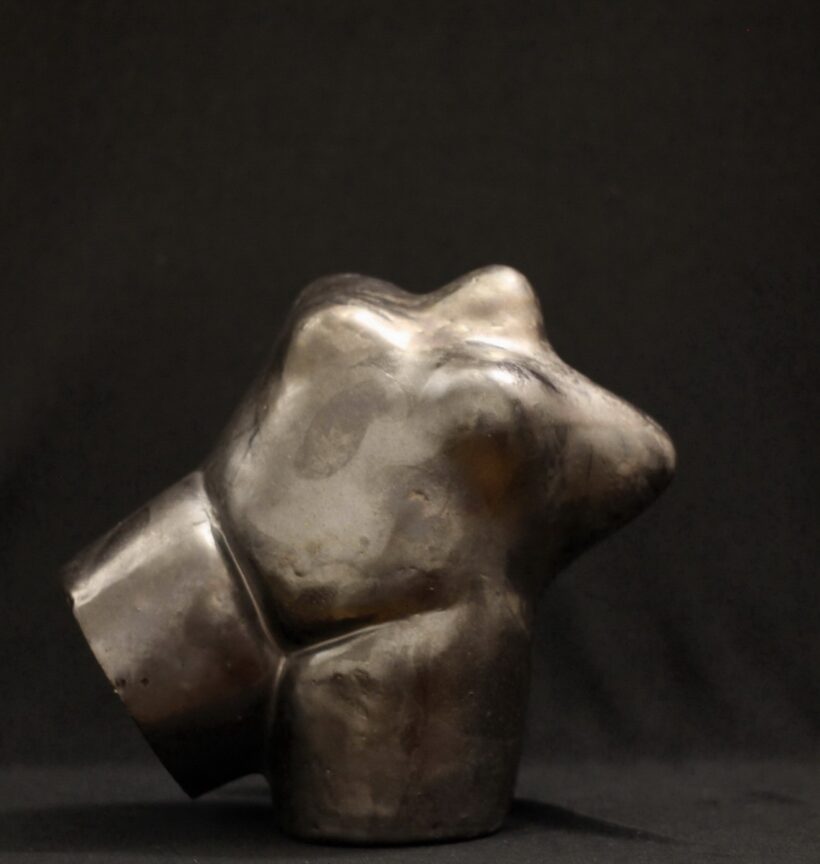 Dienes Attila (1942): Szárnyalás, 2010 /Torzó