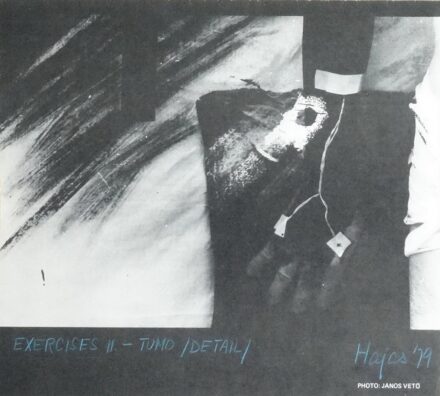 Hajas Tibor (1946-1980): Exercises II.-Tumo/Detail/ 79, fotó János Vető