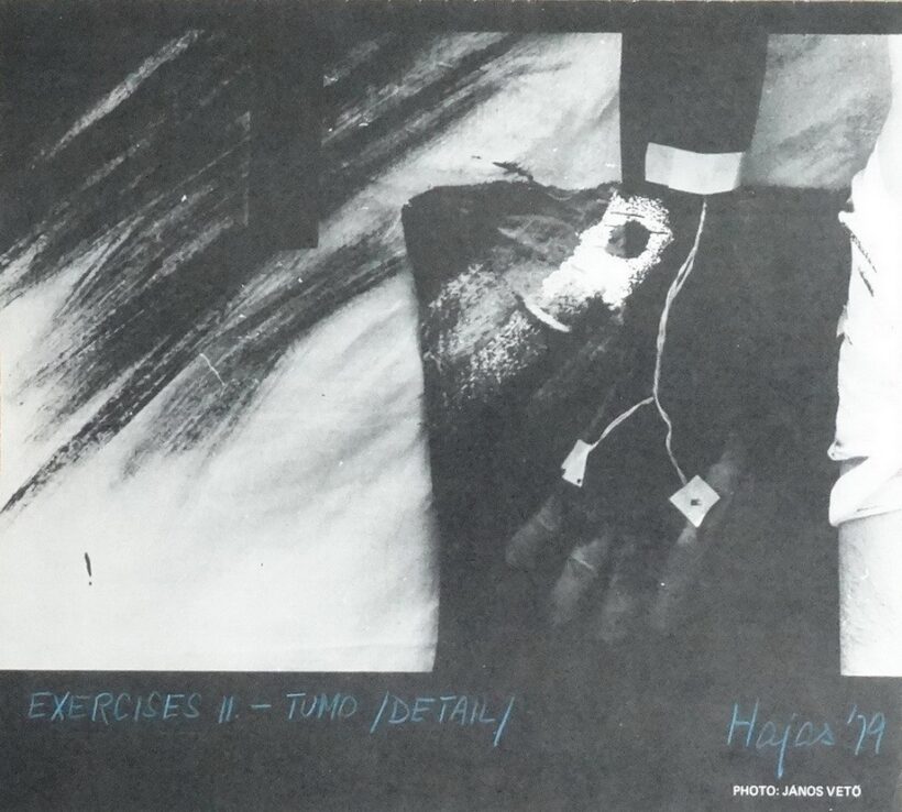Hajas Tibor (1946-1980): Exercises II.-Tumo/Detail/ 79, fotó János Vető