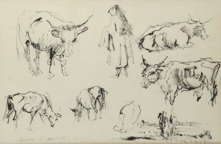 Holló László (1887-1976): Tanulmányok 1955