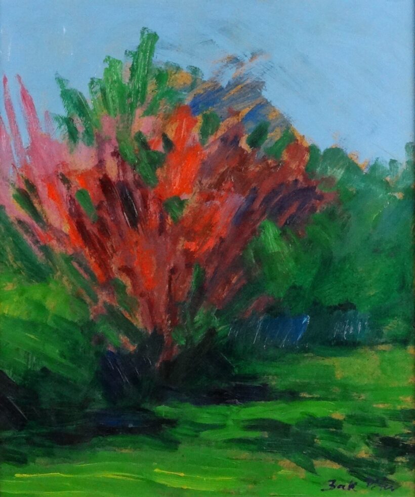 Bak Péter (1950) : Tavasz