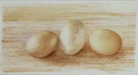 Szíjártó Kálmán (1946) : Tojások, tanulmány 1996