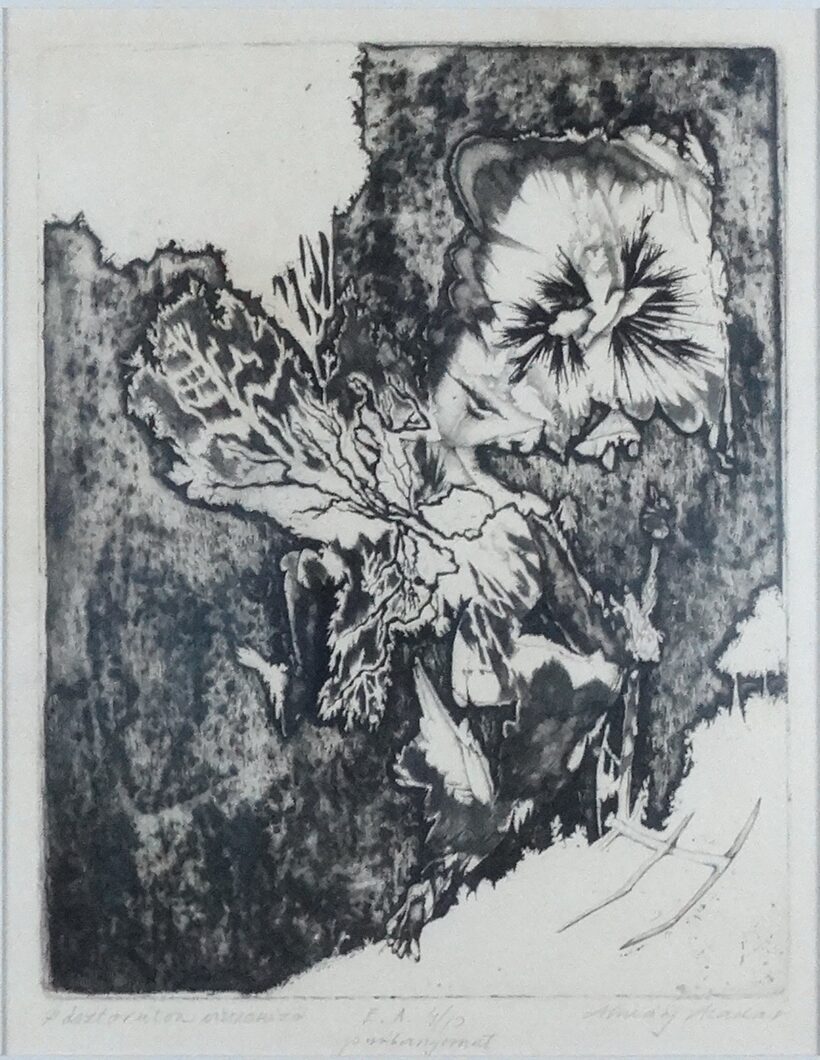 Almásy Aladár (1946): Pásztorúton visszanéző E.A. 4/10 próbanyomat