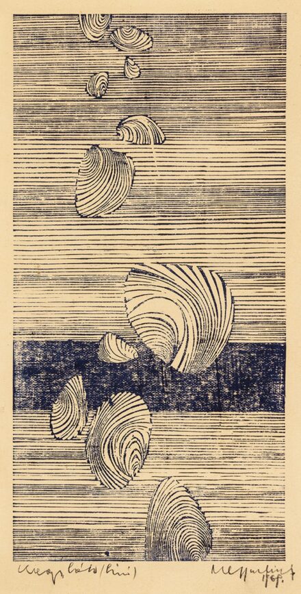 Magyar József: Kagylók, 1968