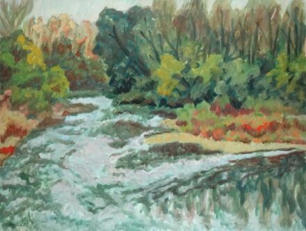 Weisz Zsuzsanna (1925 - 2017): Folyó növények, 1977