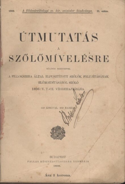 Borászat, szőlészet, "alkoholászat". Útmutatás a szőlőmívelésre Borászat, szőlészet, "alkoholászat". Útmutatás a szőlőmívelésre különös tekintettel a fillokszera által elpusztított szőlők felujításának előmozdításáról szóló 1896 : V. TCZ. Végrehajtására.