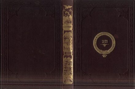 Díszes kiadói bekötési tábla a Természettudományi Közlöny 1879-ik évfolyamához. Díszes kiadói bekötési tábla a Természettudományi Közlöny 1879-ik évfolyamához.